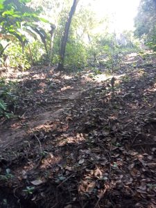 terrenos à venda