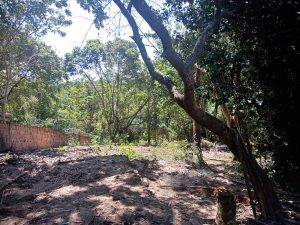 terreno à venda em Imbassaí