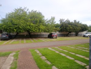 Apartamento à venda no Solaris Imbassaí