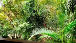 Varanda com vista para jardim na Reserva Imbassaí