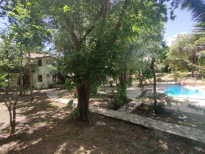 Terreno de 1.000 m² em Imbassaí