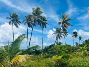 Praia Apartamento no Ykutiba Imbassaí com 2 Quartos