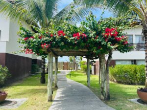 Apartamento no Ykutiba Imbassaí com 2 Quartos