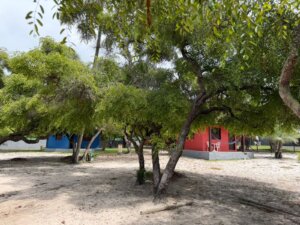 Chalé em terreno 3000 m2 Imbassai