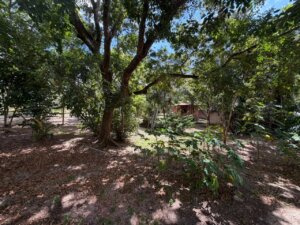 Terreno 1000 m2 Imbassai