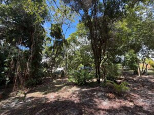 Terreno 1000 m2 Imbassa