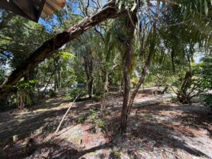 Terreno 1000 m2 Imbassai