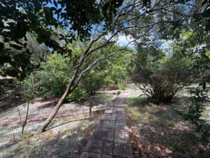 Terreno 1000m2 imbassai